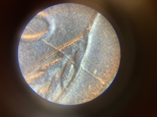 1943-Steel-Penny-Die-Crack-And-Doubling-On-The-Date